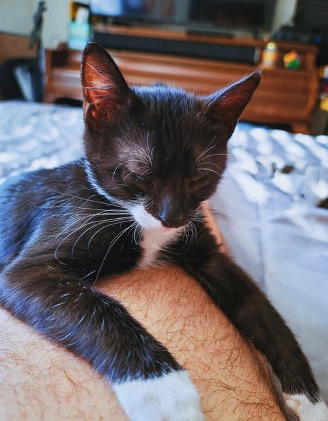 pregnant threesome onlyfans exclusive pictures