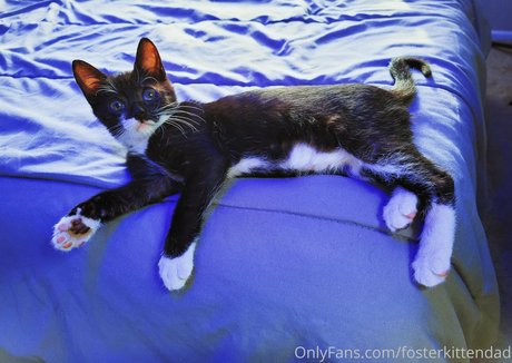 blowjob brunette onlyfans sexy nudes gallery