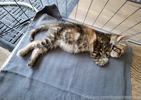 fat girls onlyfans nice images