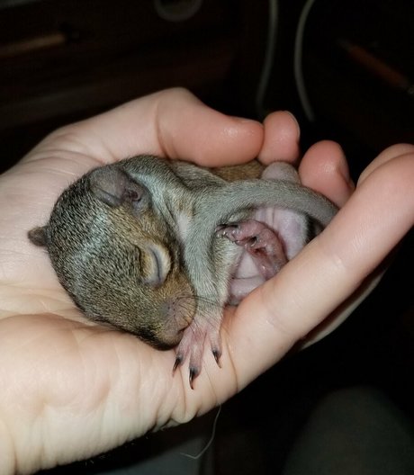 mikaylarainesfans top pornstar img