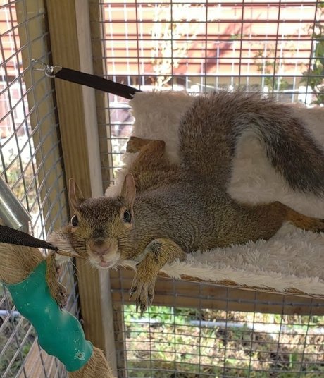 mikaylarainesfans hot pornstar archive