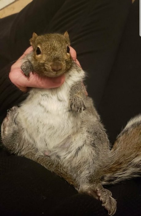 mikaylarainesfans nude star image