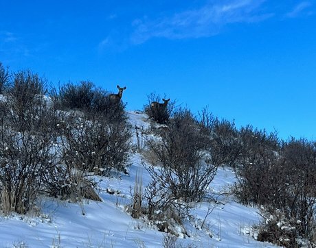 audreybelletv high quality star gallery