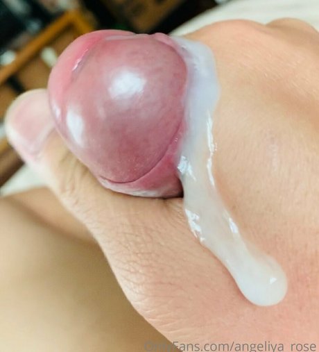 angeliya rose nice star pic