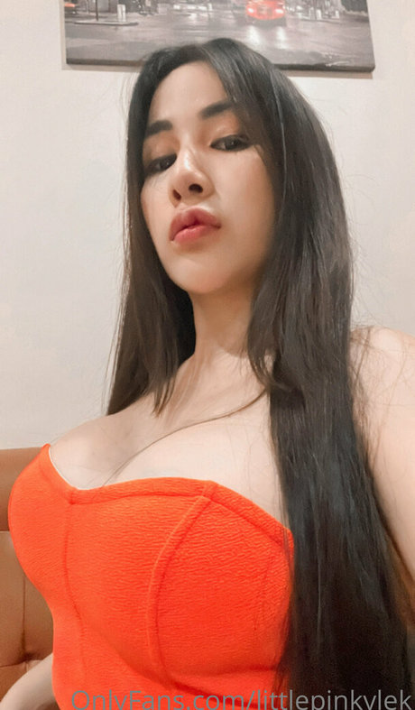 littlepinkylek pornstar nude pic