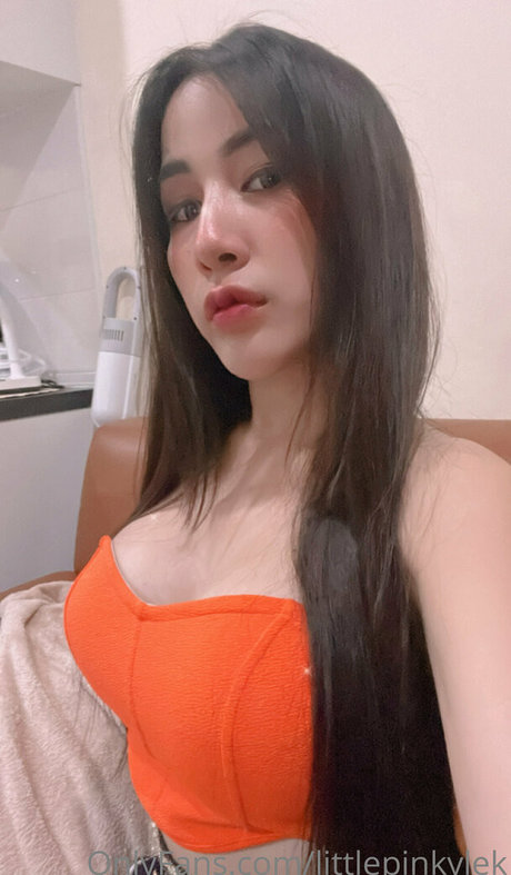 littlepinkylek star porn pictures