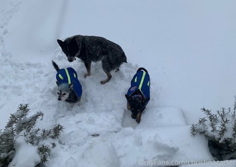 guy onlyfans pornographic galleries