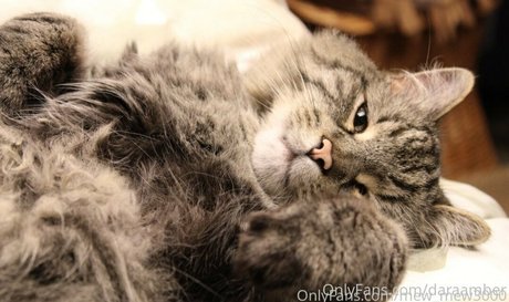 sex teen onlyfans free images