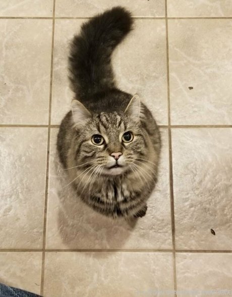 bbw blowjob onlyfans beautiful naked image