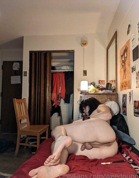 weedpupp pornstar exclusive images