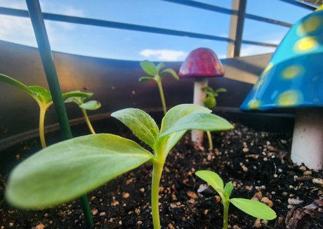 bent over pussy onlyfans art nude photo