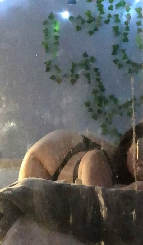 grungek1tten star nice pic