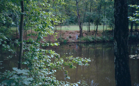 Angela Halee pornstar hot archive