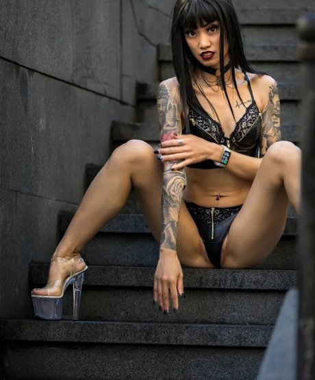 Prenzs Wndr star high quality archive