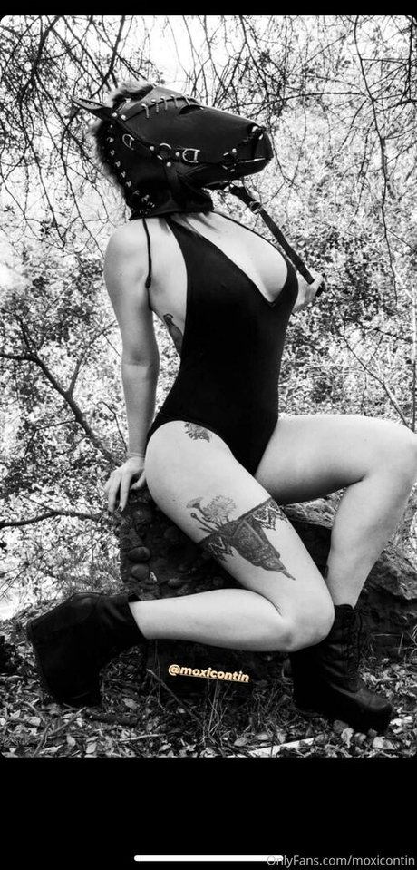 Moxicontin high quality model img