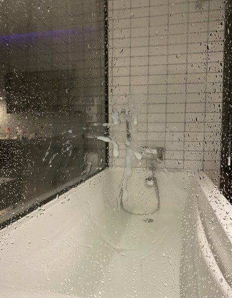 alpaca bkk beautiful star photos