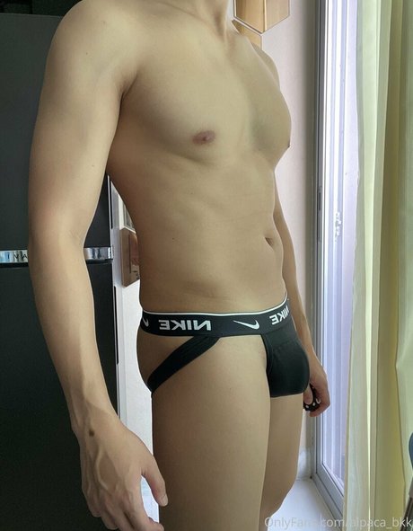 alpaca bkk free pornstar pics