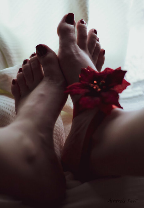 athenasf33t pretty star pics