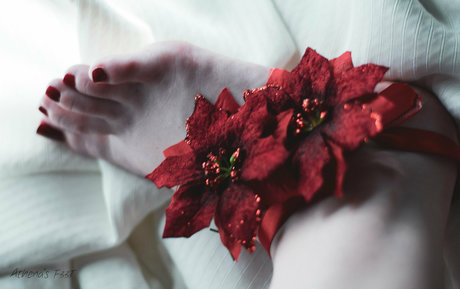 athenasf33t model adult archive