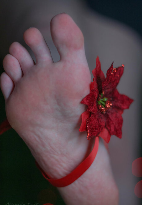 athenasf33t pornstar adult photos