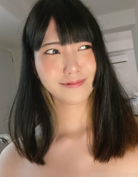 Moiicos43 best model image