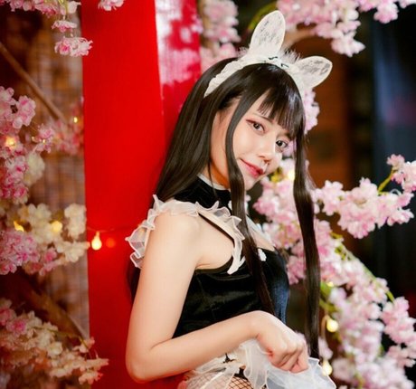 Dango Meaw top star archive