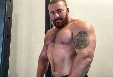 beefbeast pornstar exclusive gallery