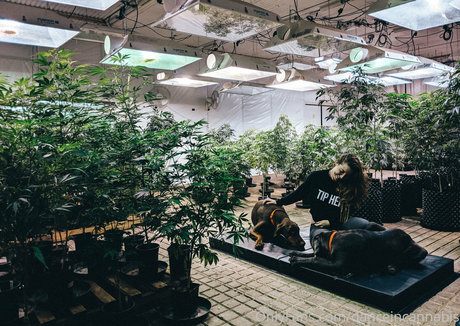 perfect body onlyfans free naked pic