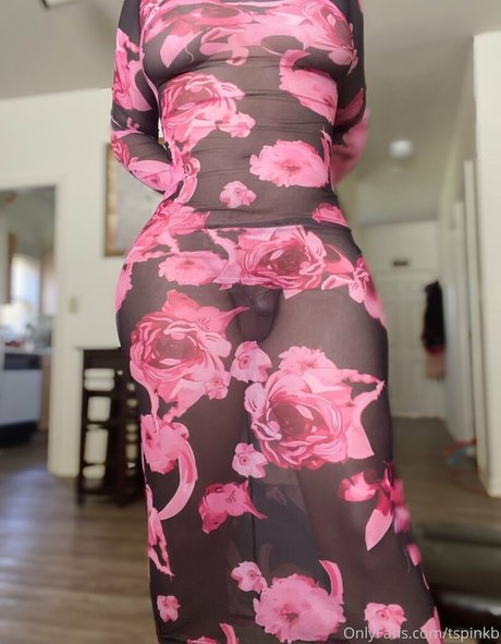 tspinkb model sex photo