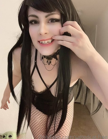 saltedcat free star art img