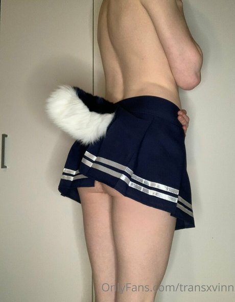 transxvinn pretty pornstar picture