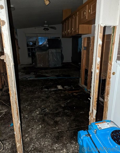 lisaapinelli nudes actress img