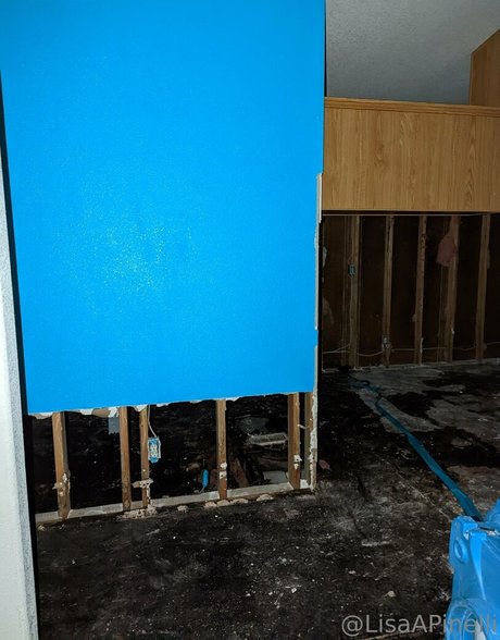 lisaapinelli model sexy img