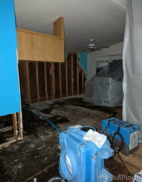 lisaapinelli hot actress gallery