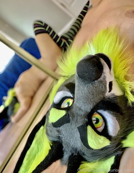 luxurious luxor star beautiful picture