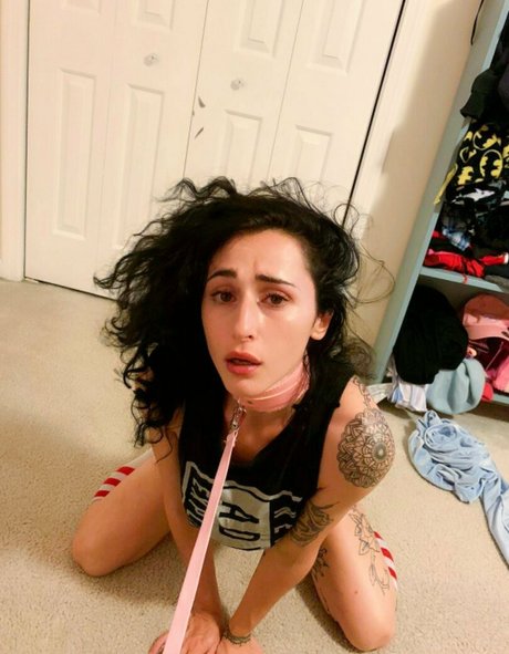 winnietatefree star pretty image