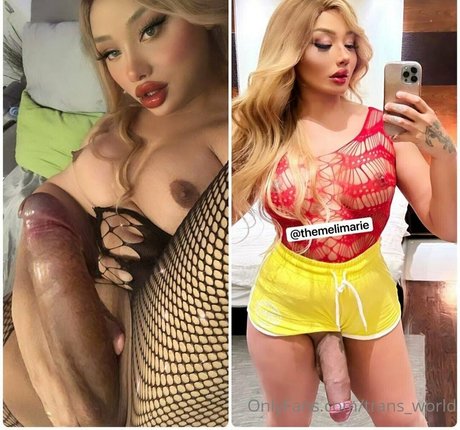 trans world star pictures