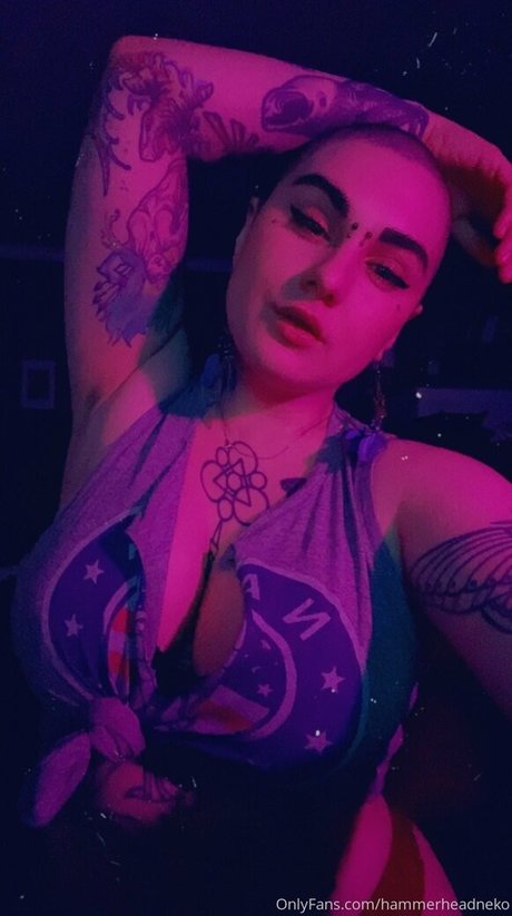 hammerheadneko hot star picture