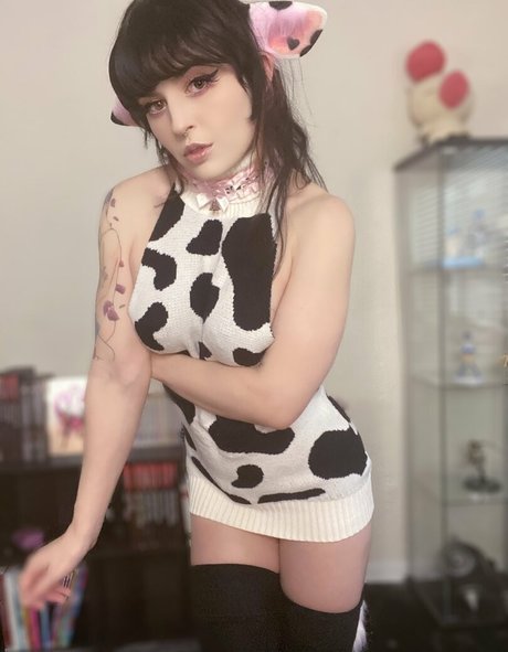 purrrveeives pretty star images