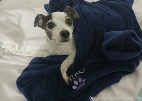 sneakykirby erotic star image