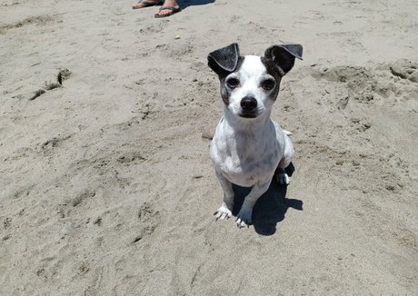 sneakykirby high quality model photos