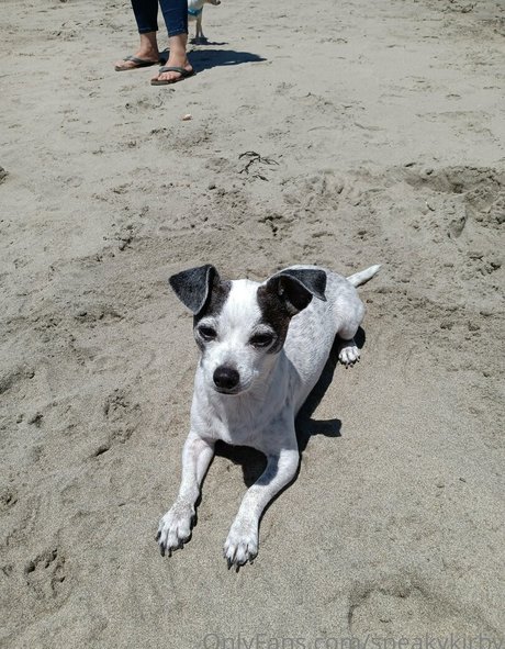 sneakykirby sex model img