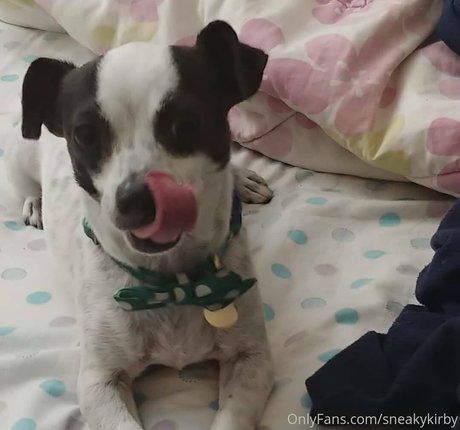 sneakykirby sexy star pics