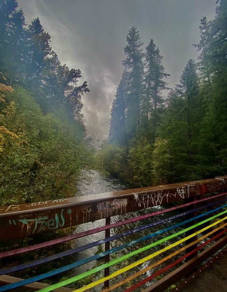 bendybombshell star free gallery