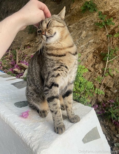 foot fetish onlyfans pretty archive