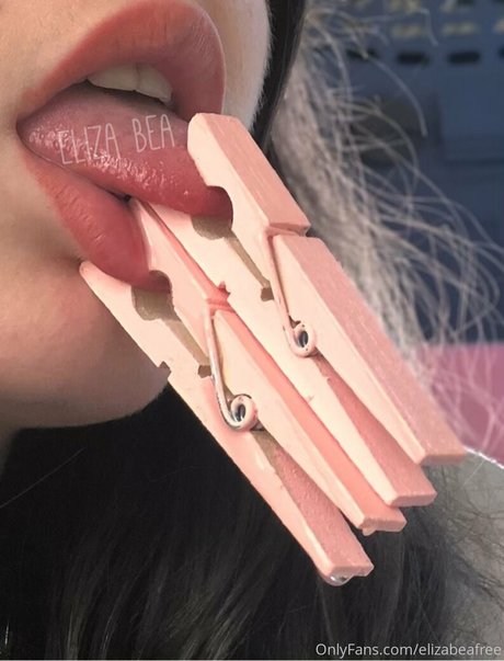 elizabeafree Profile Photo