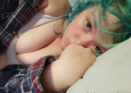 sunflowerc3 model top img