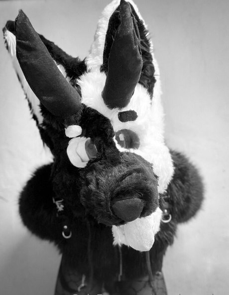 ratedrcosplay sexy star photo