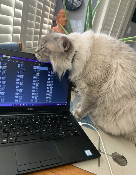 blonde handjob onlyfans best archive