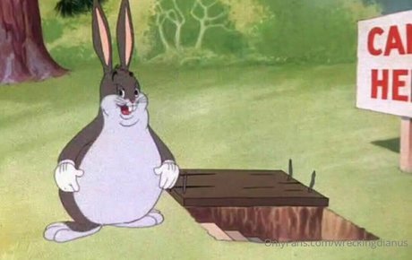 wreckingdianus high quality star photo